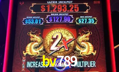 Descubra o Mundo do Cassino Online com bv789